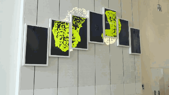 5.gif 5.gif